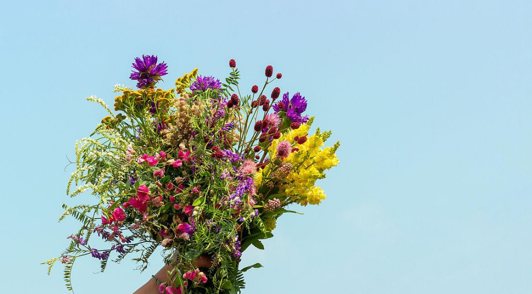 “三.八”婦女節——攜女神共同打響藍天保衛戰 “三.八”婦女節——攜女神共同打響藍天保衛戰